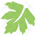 پیش‌نمایش فایل grape-leaf-1 از پک برگ‌ها