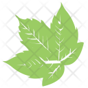 پیش‌نمایش فایل grapes-leaf-1 از پک برگ‌ها