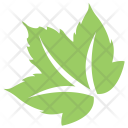 پیش‌نمایش فایل grapes-leaf از پک برگ‌ها