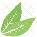 پیش‌نمایش فایل great-sallow-leaf از پک برگ‌ها
