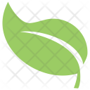 پیش‌نمایش فایل green-leaf-4 از پک برگ‌ها