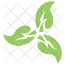 پیش‌نمایش فایل green-leaf-flower از پک برگ‌ها