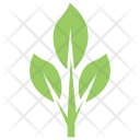 پیش‌نمایش فایل grey-willow-leaves از پک برگ‌ها