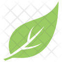 پیش‌نمایش فایل hack-berry-leaf-1 از پک برگ‌ها