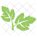 پیش‌نمایش فایل hawthorn-leaves-1 از پک برگ‌ها