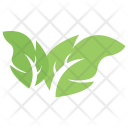 پیش‌نمایش فایل leaf-595 از پک برگ‌ها