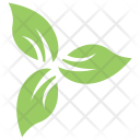 پیش‌نمایش فایل leaf-596 از پک برگ‌ها