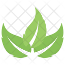 پیش‌نمایش فایل leaves-151 از پک برگ‌ها