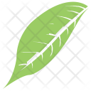 پیش‌نمایش فایل magnolia-leaf-1 از پک برگ‌ها