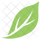 پیش‌نمایش فایل magnolia-leaf از پک برگ‌ها