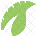 پیش‌نمایش فایل monstera-leaf-1 از پک برگ‌ها