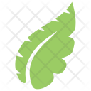 پیش‌نمایش فایل monstera-leaf-2 از پک برگ‌ها