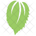 پیش‌نمایش فایل mulberry-leaf-1 از پک برگ‌ها