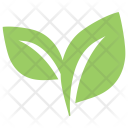 پیش‌نمایش فایل pair-of-leaves از پک برگ‌ها
