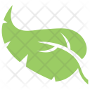 پیش‌نمایش فایل palm-leaf-1 از پک برگ‌ها
