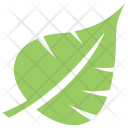 پیش‌نمایش فایل palm-leaf-2 از پک برگ‌ها