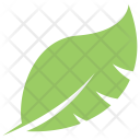 پیش‌نمایش فایل philodendron-split-leaf-1 از پک برگ‌ها