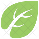 پیش‌نمایش فایل regularize-daemonic-leaf از پک برگ‌ها