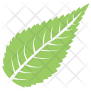 پیش‌نمایش فایل sour-cherry-leaf از پک برگ‌ها
