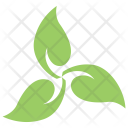 پیش‌نمایش فایل swirl-leaves-2 از پک برگ‌ها