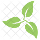 پیش‌نمایش فایل swirl-leaves-3 از پک برگ‌ها