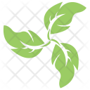 پیش‌نمایش فایل swirl-leaves-5 از پک برگ‌ها