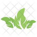پیش‌نمایش فایل tripartite-leaf-5 از پک برگ‌ها