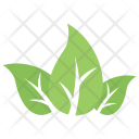 پیش‌نمایش فایل tripartite-leaf-6 از پک برگ‌ها