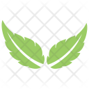 پیش‌نمایش فایل two-birch-leaves از پک برگ‌ها