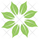 پیش‌نمایش فایل whorled-leaves از پک برگ‌ها