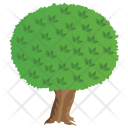 پیش‌نمایش فایل apple-tree-9 از پک Trees 