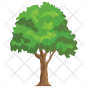 پیش‌نمایش فایل ash-tree-2 از پک Trees 