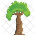 پیش‌نمایش فایل baobab-tree از پک Trees 