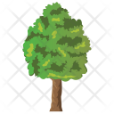 پیش‌نمایش فایل basswood-tree-3 از پک Trees 