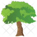 پیش‌نمایش فایل basswood-tree-4 از پک Trees 