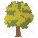 پیش‌نمایش فایل basswood-tree-5 از پک Trees 