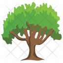 پیش‌نمایش فایل beech-tree-2 از پک Trees 