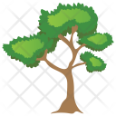 پیش‌نمایش فایل bitter-nut-hickory-tree از پک Trees 