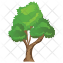 پیش‌نمایش فایل bitternut-hickory-tree از پک Trees 