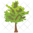 پیش‌نمایش فایل black-ash-tree-2 از پک Trees 