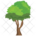 پیش‌نمایش فایل black-ash-tree از پک Trees 