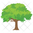 پیش‌نمایش فایل black-locust-tree از پک Trees 