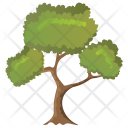 پیش‌نمایش فایل black-willow-tree از پک Trees 