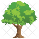 پیش‌نمایش فایل bonsai-tree-10 از پک Trees 