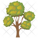 پیش‌نمایش فایل bonsai-tree-8 از پک Trees 