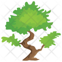پیش‌نمایش فایل bonsai-tree-9 از پک Trees 