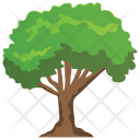 پیش‌نمایش فایل buckthorn-tree از پک Trees 