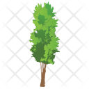 پیش‌نمایش فایل cedar-tree-2 از پک Trees 