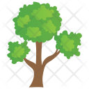 پیش‌نمایش فایل chinese-evergreen-pear از پک Trees 