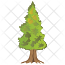 پیش‌نمایش فایل coniferous-tree-3 از پک Trees 